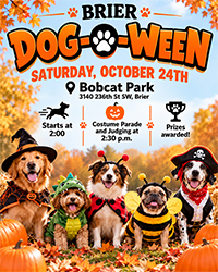 Click here for details Click here details