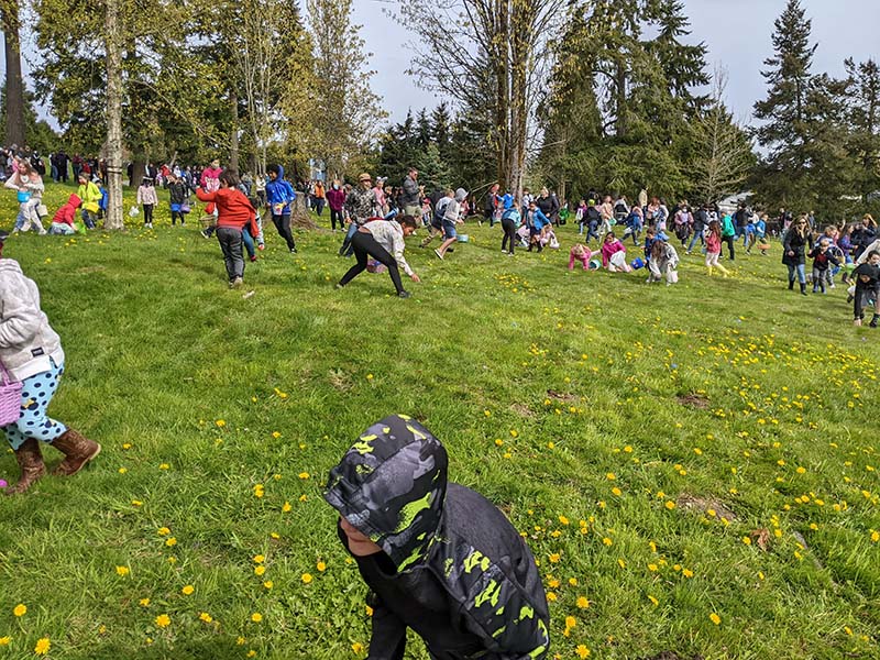 Egg Hunt 2022